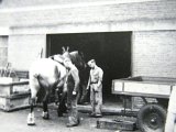 129- Smitse Gerits 1950.JPG